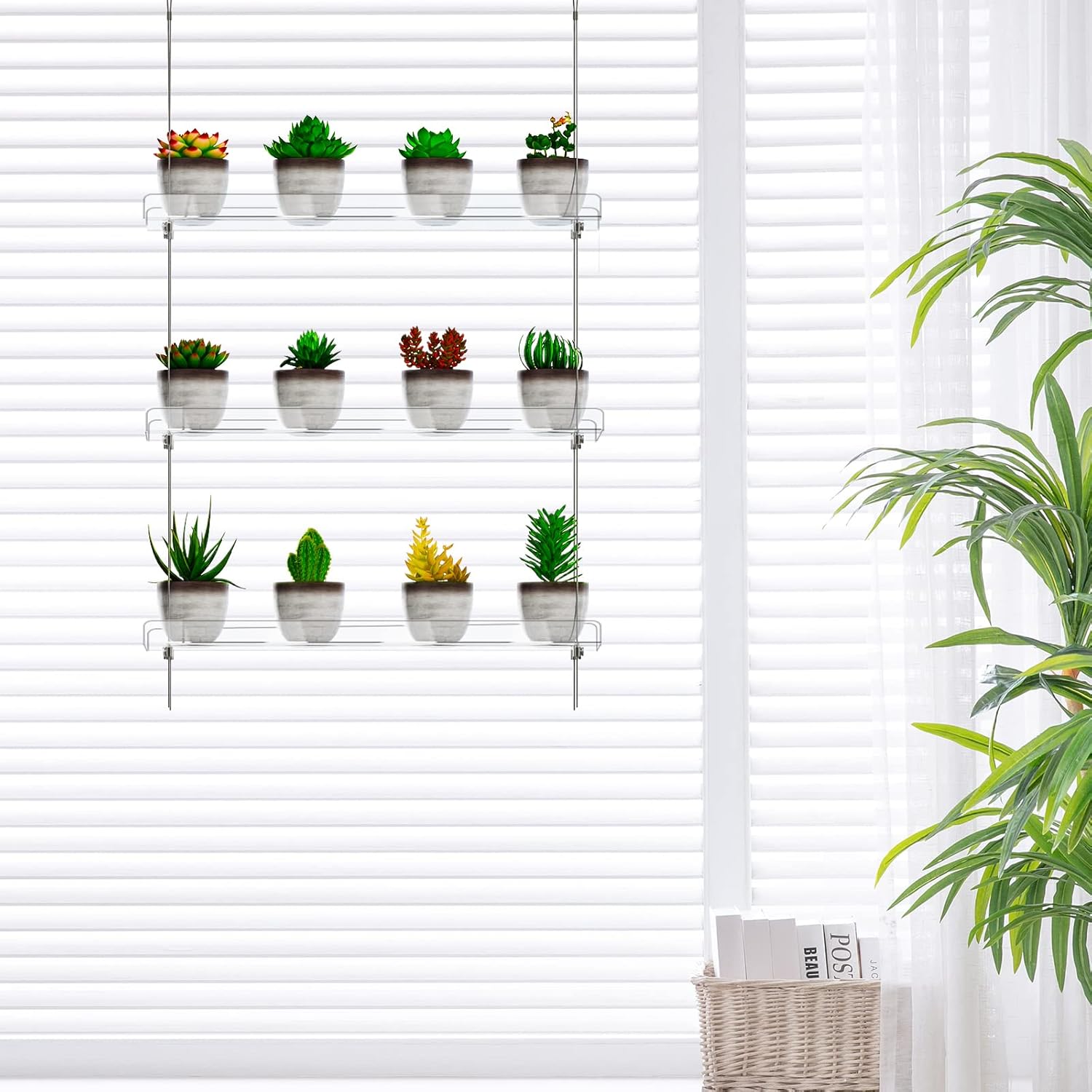 3-Tier Clear Hanging Window Plant Shelves 16In, Height Adjustable Acrylic , Indoor Windows Wall Hanging Plant Stand Flower Display, Flower Pot Organizer Storage for Grow Herbs, Microgreens, Succulents