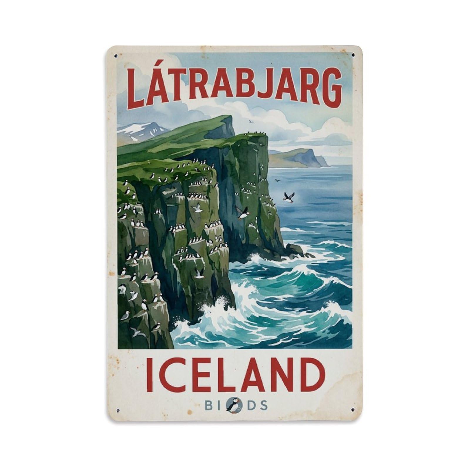 Fyrn Style Metal Tin Sign Vintage Travel Latrabjarg Iceland Cliffs