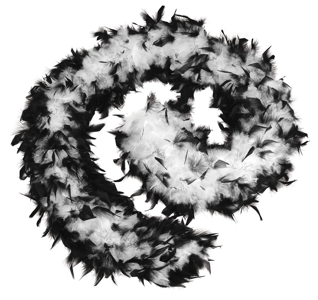 Bristol Novelty Men Black and White Feather Boa | for Women Black White Accessory, Black White, One Size UK