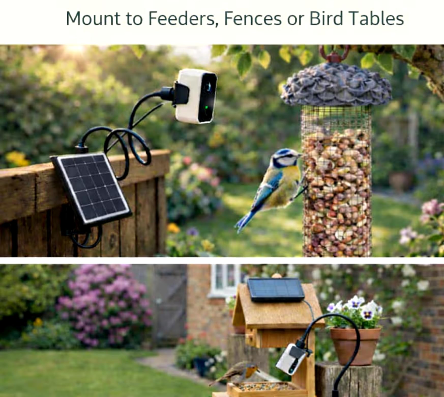 Bird Box Cámara WiFi 4MP - Cámara solar para casa de pájaros para monitoreo de entrada de caja nido, visión en vivo en la aplicación del teléfono, visión nocturna, alertas de movimiento, cámara de