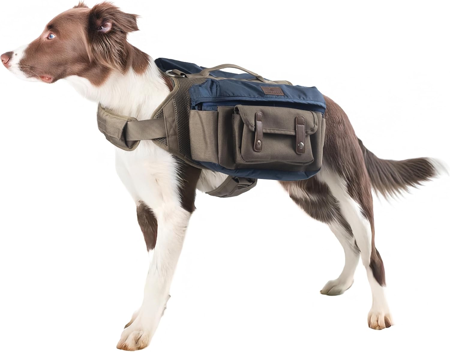 Durable Dog Hiking Backpack Harness for Medium & Large Breeds Durable Dog Hiking Backpack Harness for Medium & Large Breeds