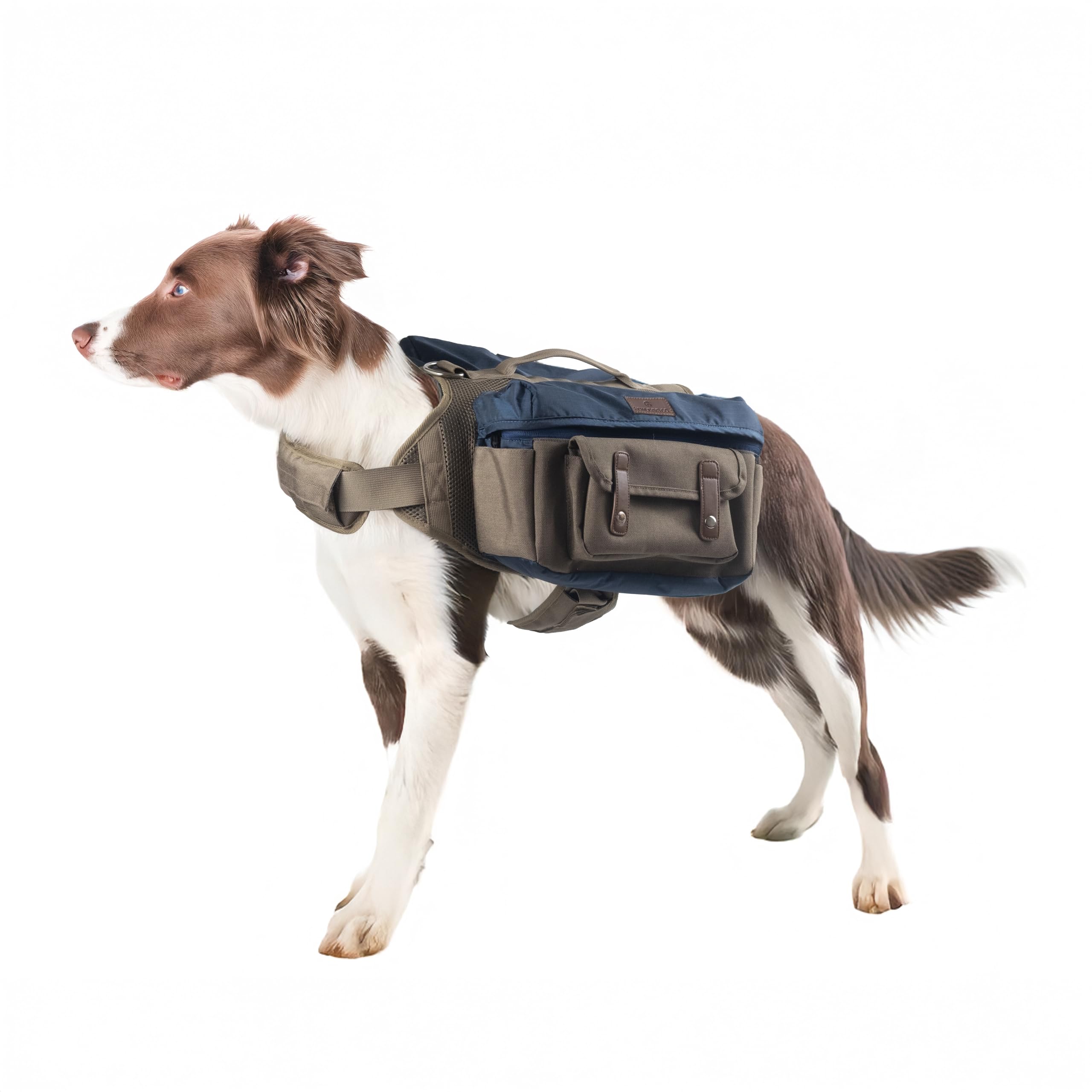 Arnés de mochila de senderismo para perros medianos y grandes, bolsa de sillín duradera con asa, compartimentos de almacenamiento grandes y ajuste ajustable para aventuras al aire libre