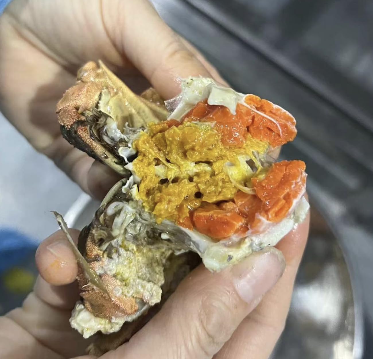 Amazon.com: [Pack of 4] Cooked Mitten Crab, Frozen Chinese Hairy