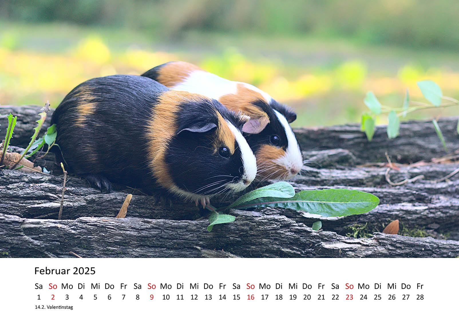 Edition Seidel Premium Kalender Am Meer Bin Ich Glücklich 2025 Format DIN A3 Wandkalender