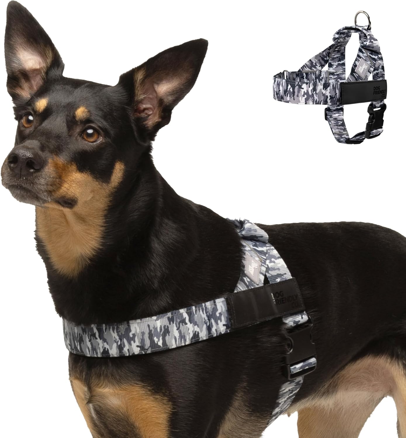 DF Co. Dog Harness | Chafe Resistant Webbing, Adjustable Neck & Chest, and Heavy Duty D-Ring | Sturdy, Comfortable, Easy to Use | Grey Camo, Size XL X-Large Grey Camo