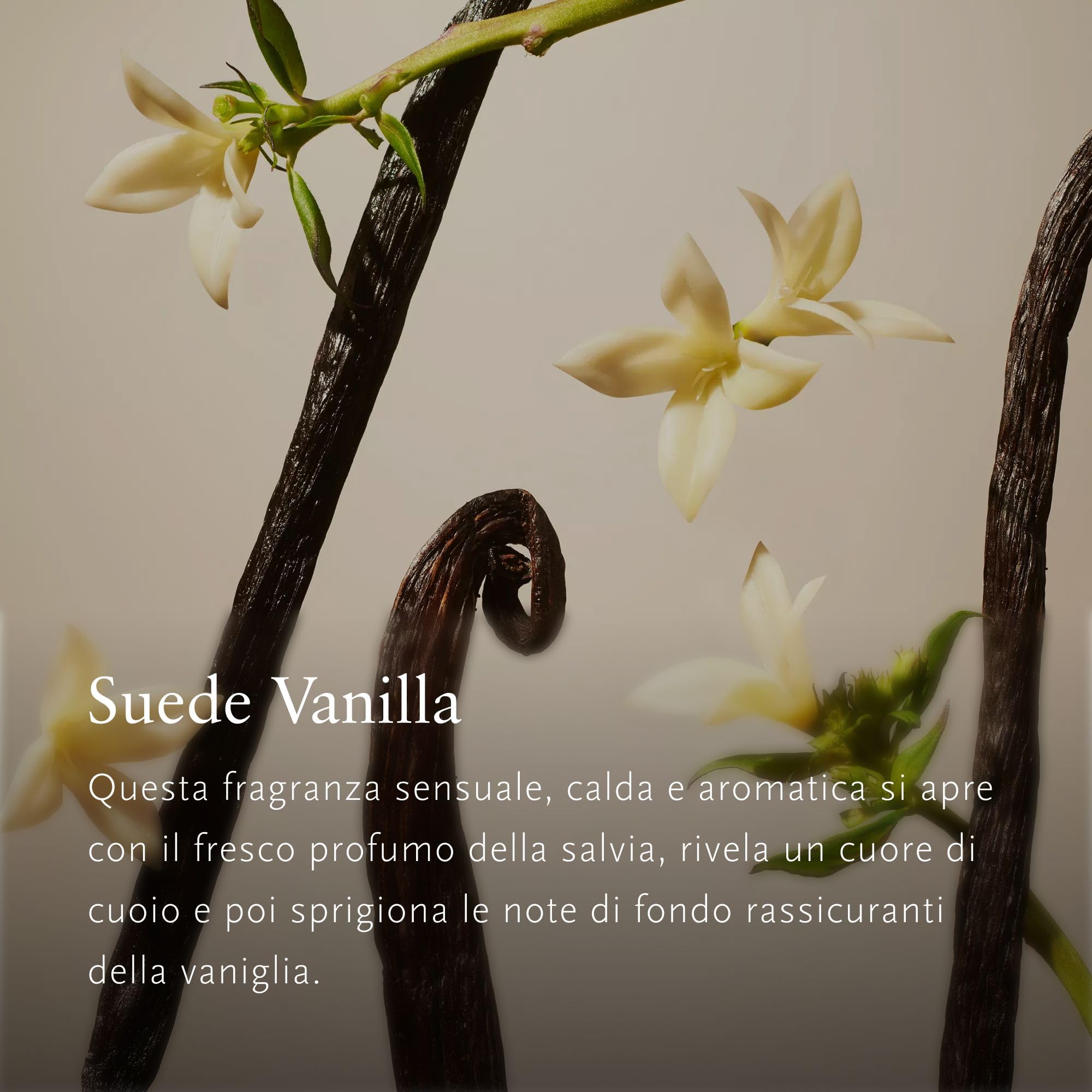 RITUALS Ricariche per Profumatore Auto Suede Vanilla – Due ricariche di profumo della Private Collection, freschezza prolungata – 2 x 3g