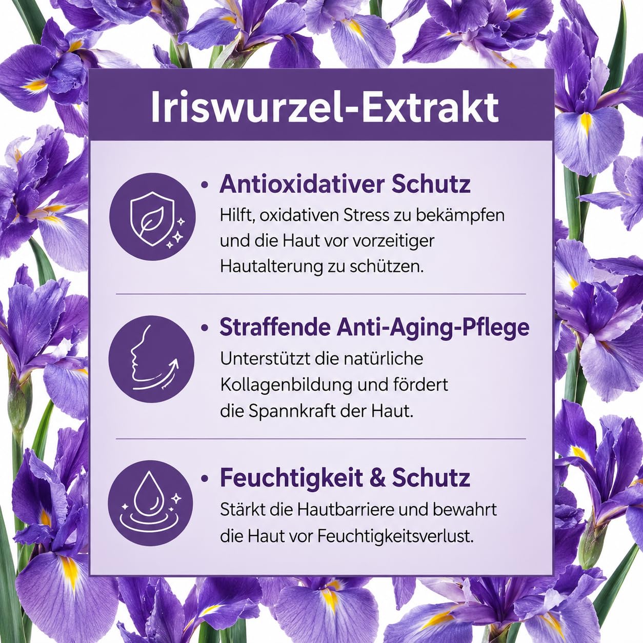 Academie Scientifique de Beauté Sève Miracle La Crème, Anti-Falten Gesichtscreme Tag und Nacht, Reife Haut, 50 ml