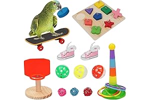BWOGUE Bird Skateboard, 12PCS Parrot Intelligence Training Toys