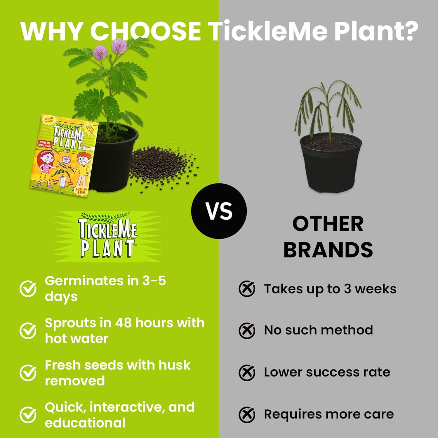 TickleMe Plant Deluxe Family Greenhouse Kit – Grow the Playful Plant that Closes Its Leaves When Tickled! Includes Mini Greenhouse, 3 Seed Packets, Soil Pellets & Pots – Fun Indoor Gardening Gift