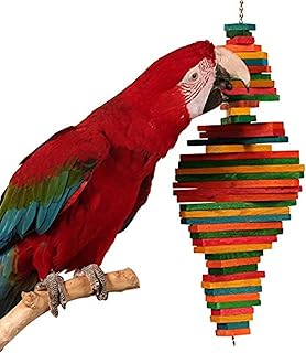Zoo-Max Cocotte Wooden Bird Toy | Medium Hanging Hardwood Activity Toy | (22