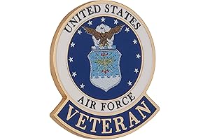 United States Air Force Veteran Logo Emblem Lapel Pin