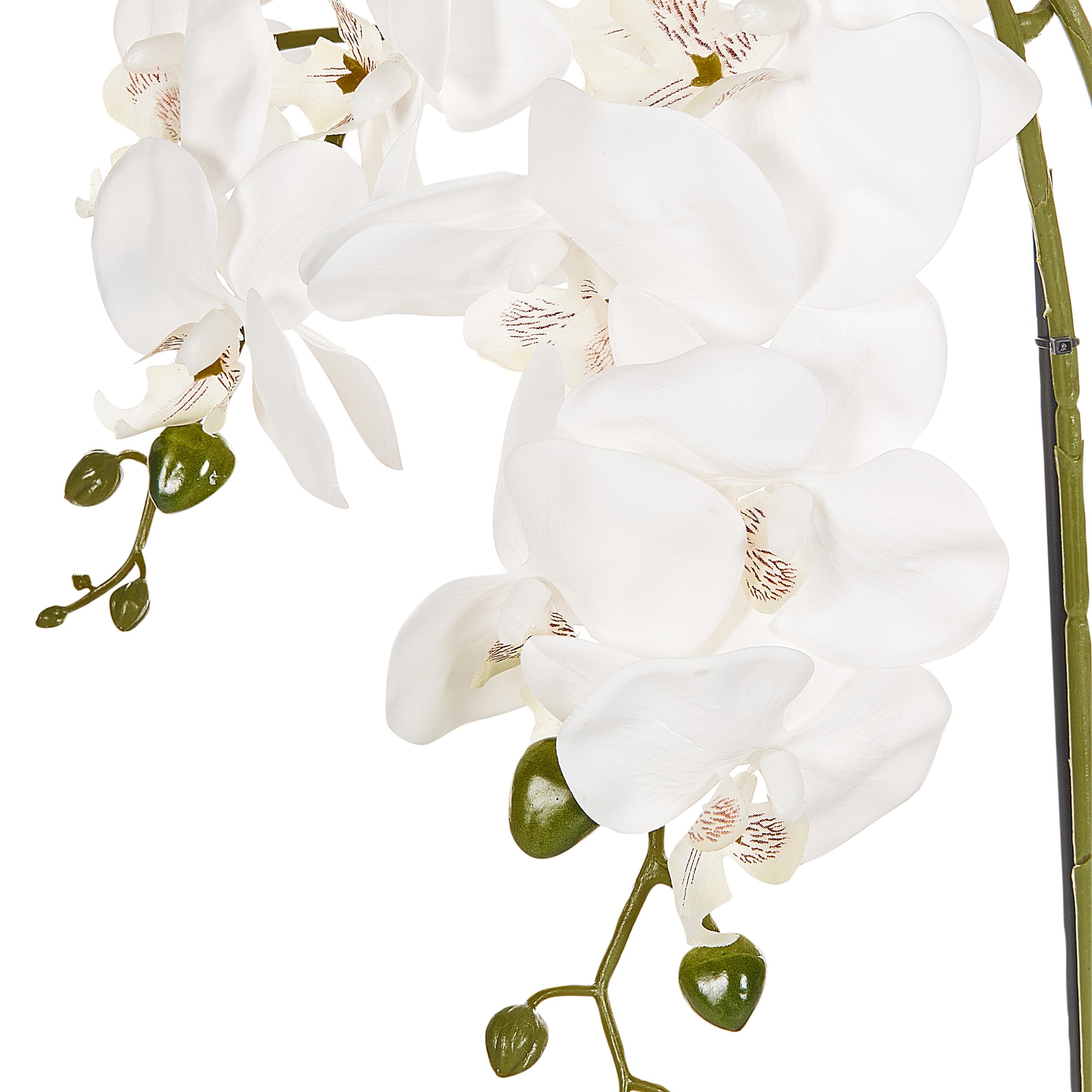 Plante Artificielle en Pot Orchidée 59 cm Décoration Intérieur Plastique Orchid