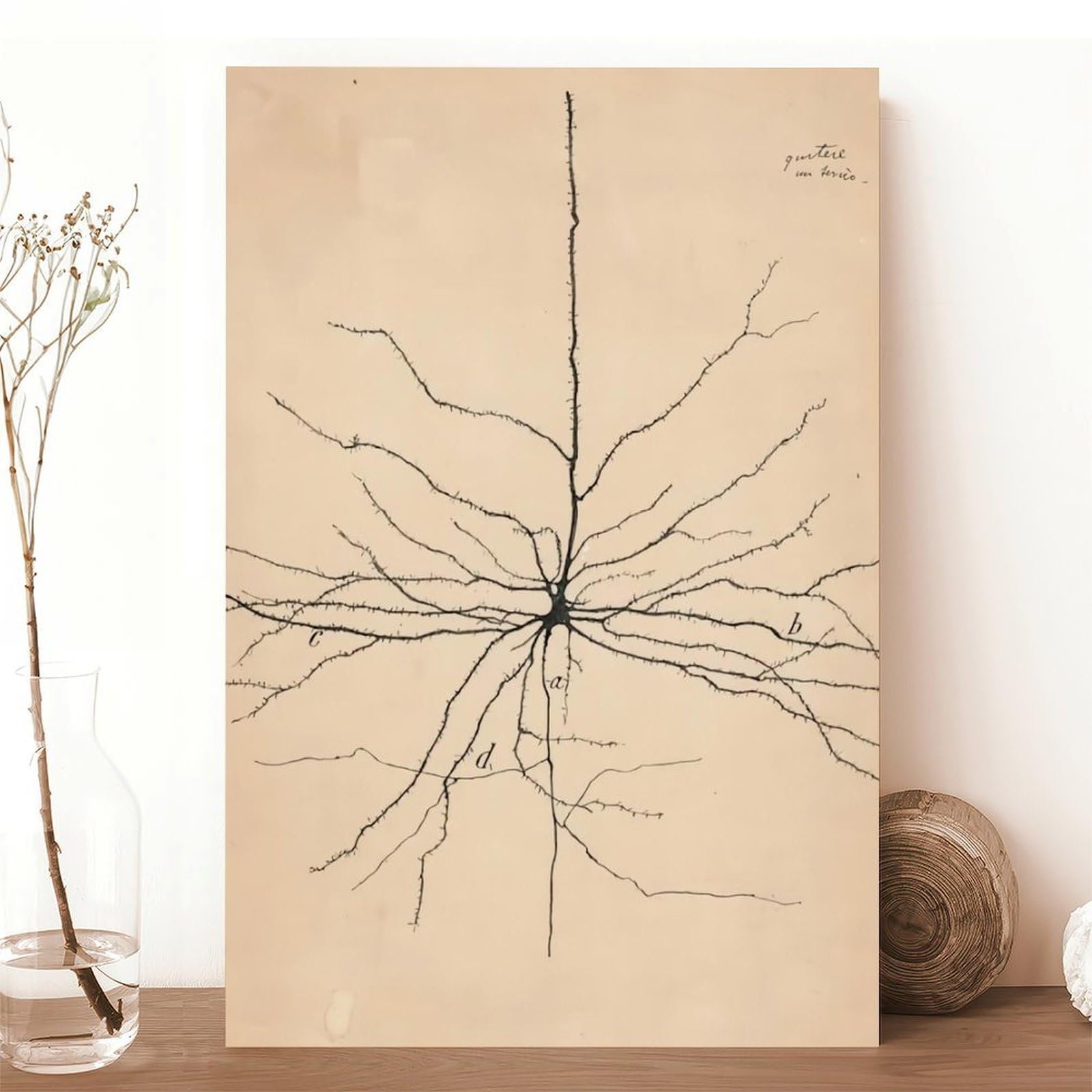 GIEIG Pyramida Neurona Dibujo de Santiago Ramón Y Cajal Póster para Estética de Habitación Lienzo Arte de Pared Marco de 12 x 18 pulgadas (30 x 45 cm)