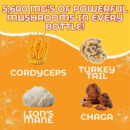 Miniatura 4 de Hongo Pure Energy, bebida de hierbas de hongos, 5600 mg de hongos enteros elaborados con Cordyceps, melena de león, cola de pavo, chaga (paquete de