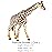 FUNSHOWCASE African Jungle Animals Toy Giraffes Figure Realistic Plastic Figurine Playset Lot 2-Piece