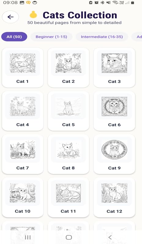 Cats Coloring Book