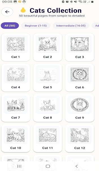 Cats Coloring Book - 1