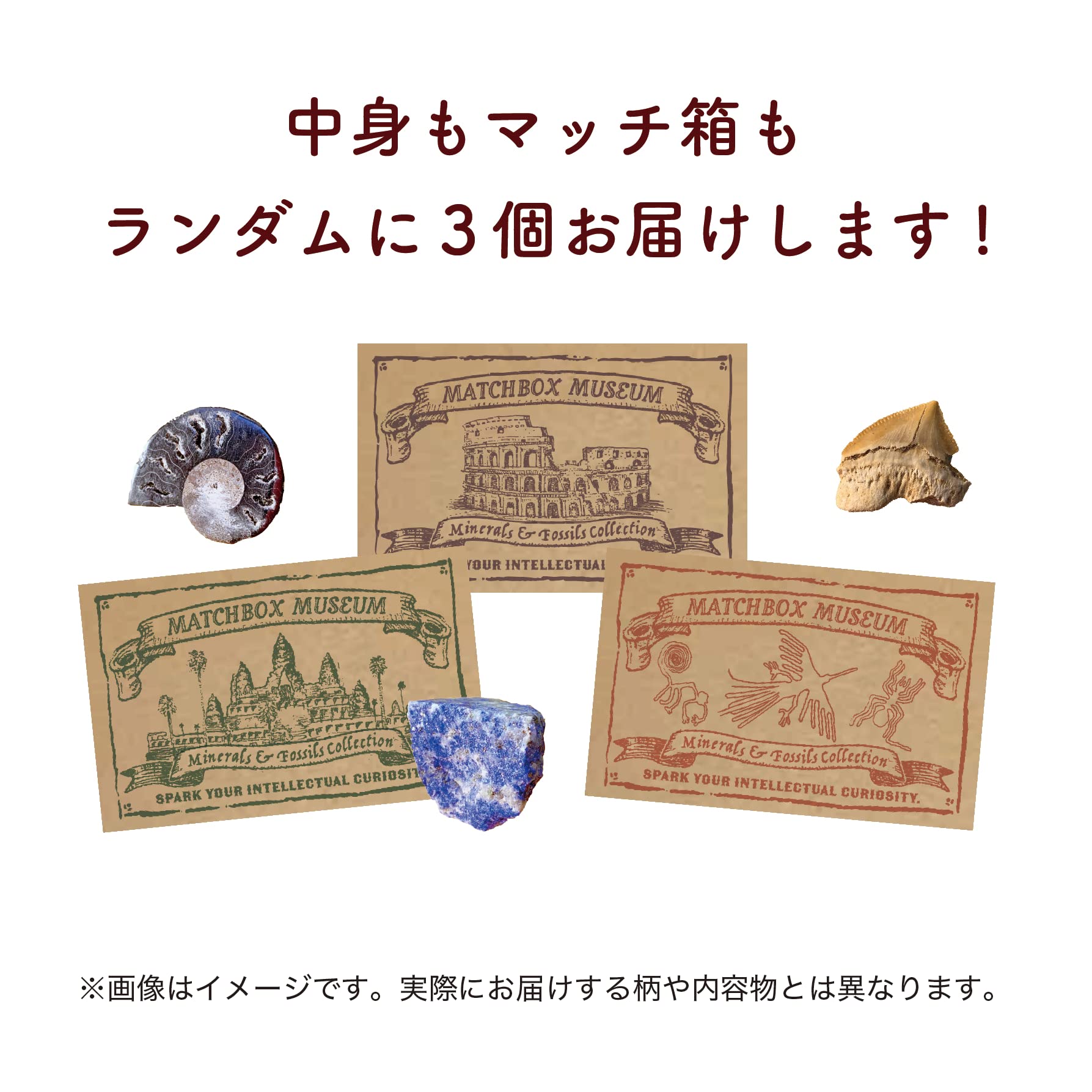 マッチ箱 コレクション 貴重 資料 マッチ箱博物館