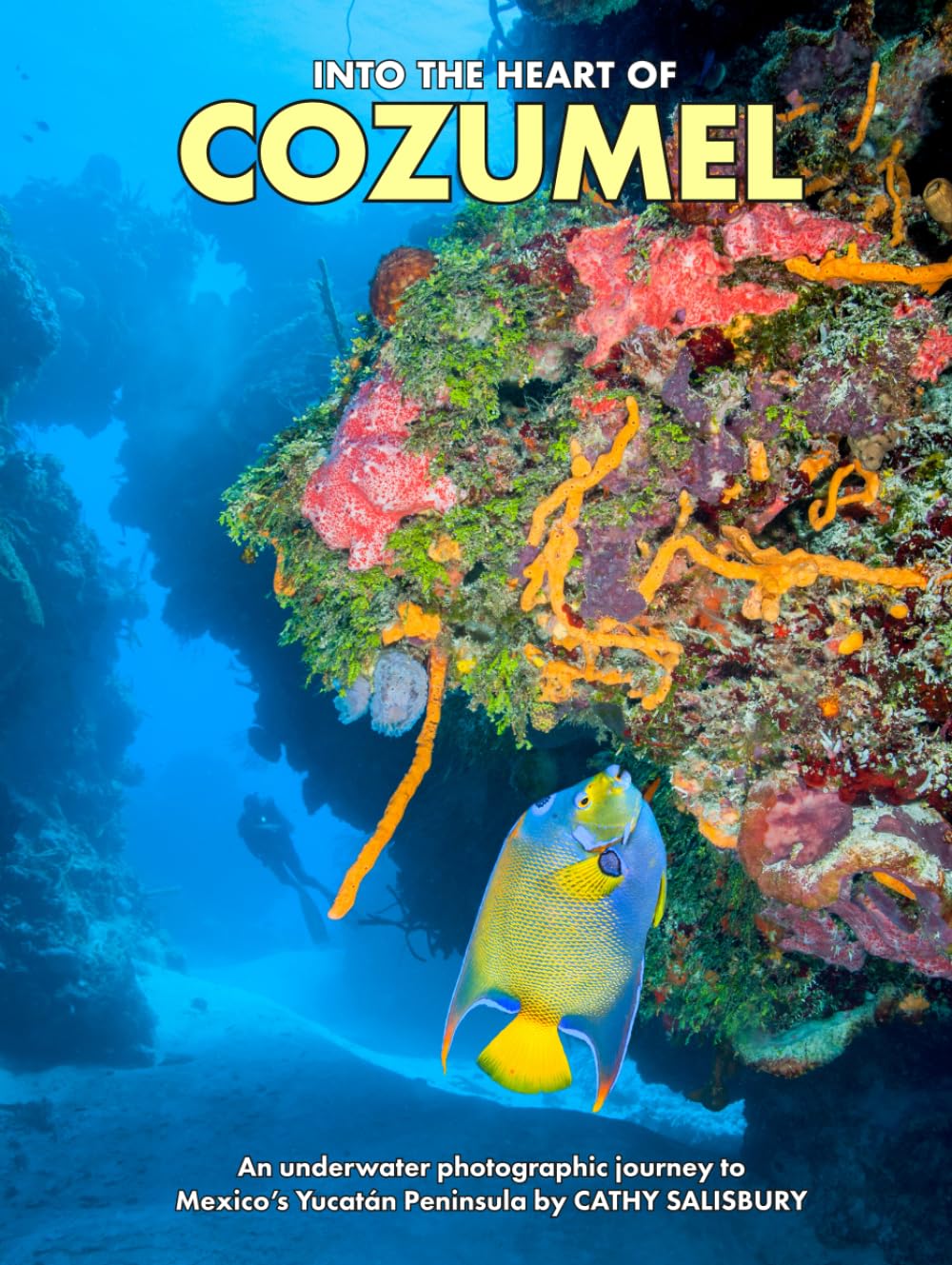 Into the heart of COZUMEL: An underwater photographic journey to Mexico's Yucatán Peninsula