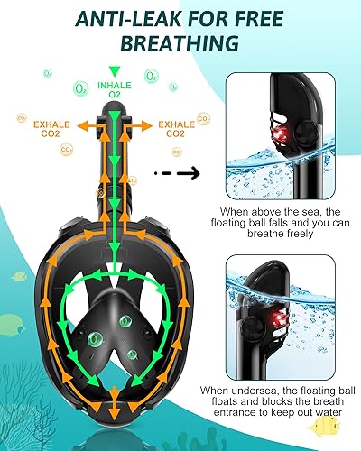 Miniatura 3 de Viginsul Snorkeling Gear for Adults Full Face Snorkel Mask with Dry Top System  Adjustable Swim Fins Foldable Panoramic View Snorkeling Mask Set