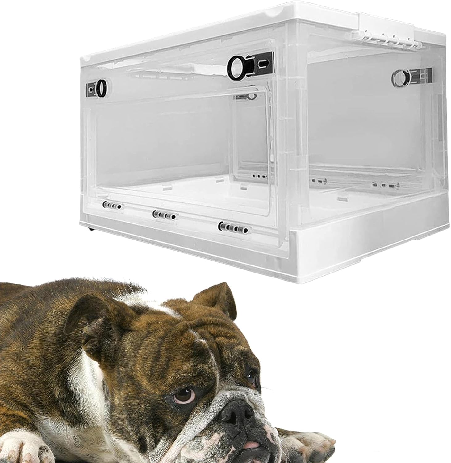 Pet Atomization Nursery Incubator, Puppy Nebulization Box Dog and Cat