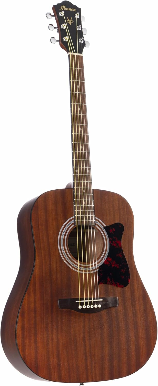 Ibanez Acoustic Guitars, Right, Open Pore Natural (V54NJPOPN)