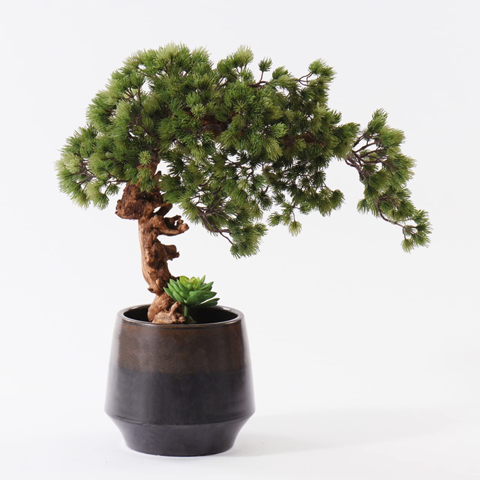 Árbol bonsái artificial Bonsái artificial verde de pino acogedor con simulación suculenta de simulación, planta en maceta, bonsái decorativo, exhibición de escritorio, adornos de maceta de árbol falso