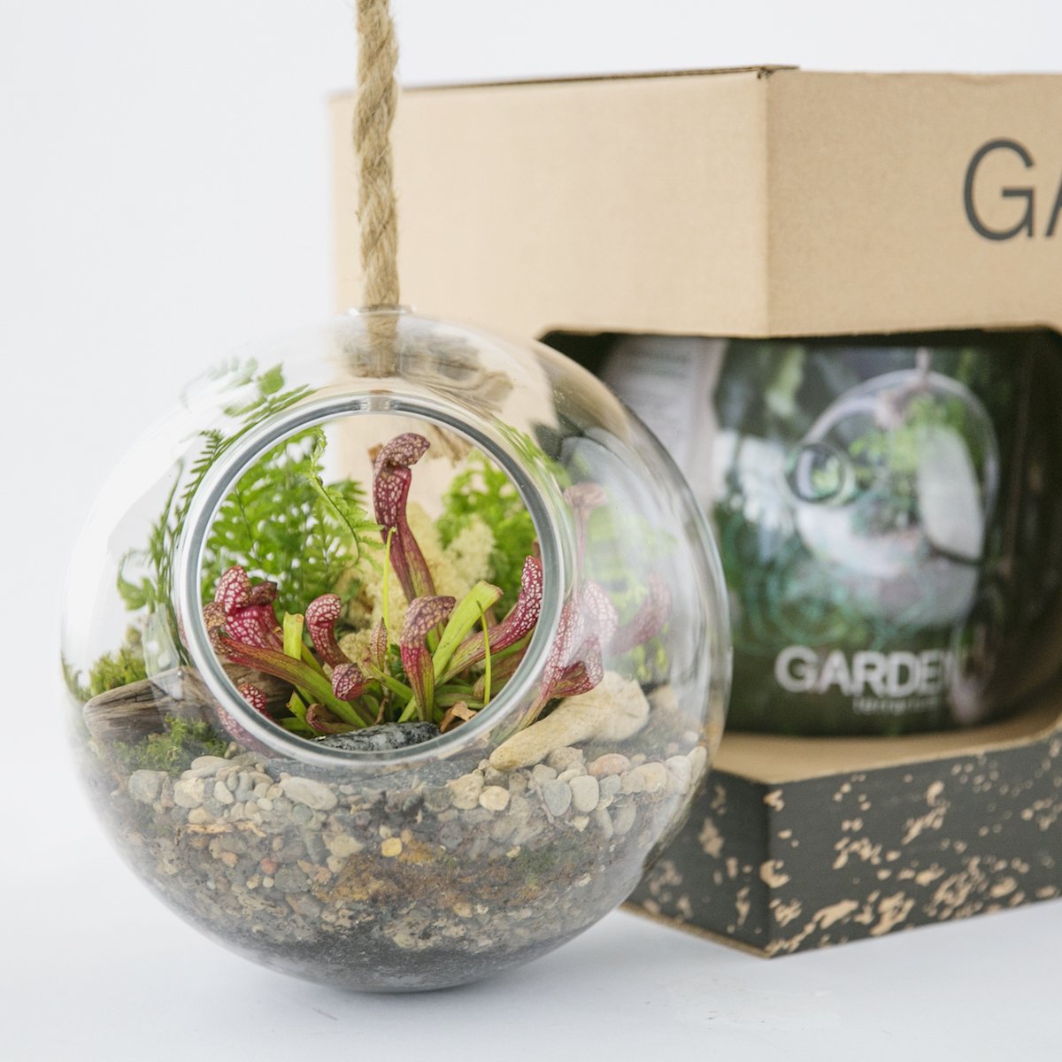 Envelor 818161021761 EN-TR-G1702 Terrarium