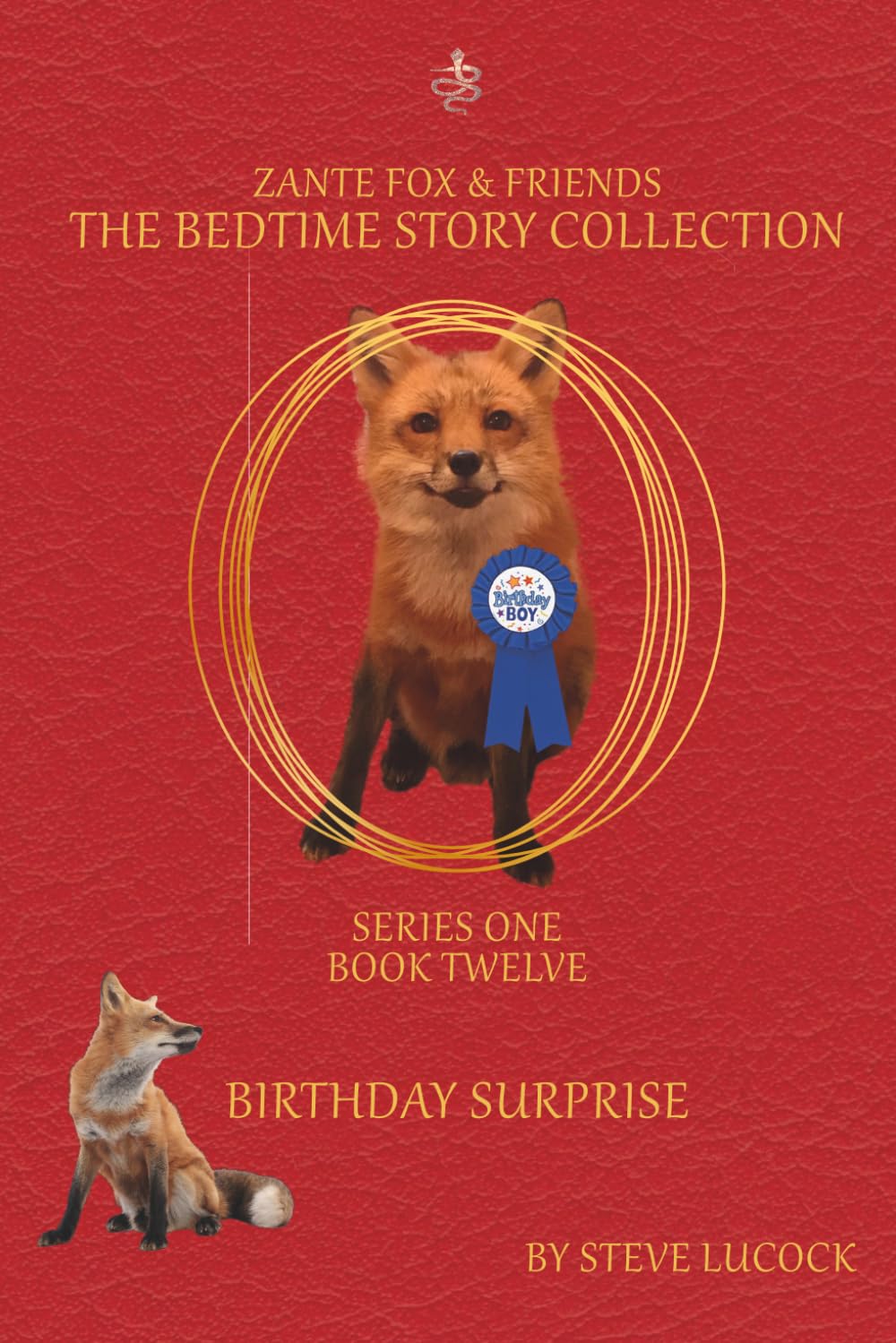 Birthday Surprise (The Bedtime Story Collection - Series 1)