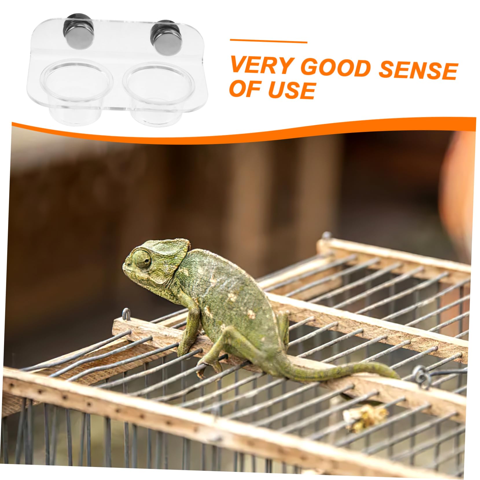 5juegos Comedero Magnético para Reptiles Plato De Alimentación y Agua para y Tortuga y De Limpiar y Usar