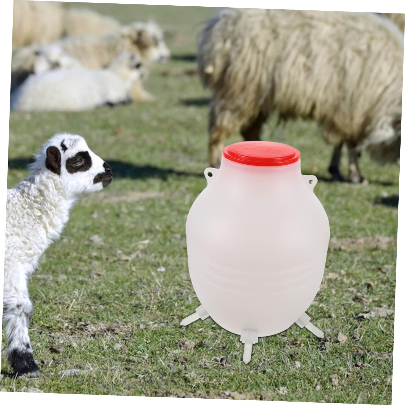 BESPORTBLE Biberon Per Agnelli e Capre Dispositivo Alimentazione Biberon Latte Agnello Latte Capra Animali Per Allevamento
