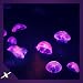 Funky Jelly Fish Aquarium - Colourful Aqua Life