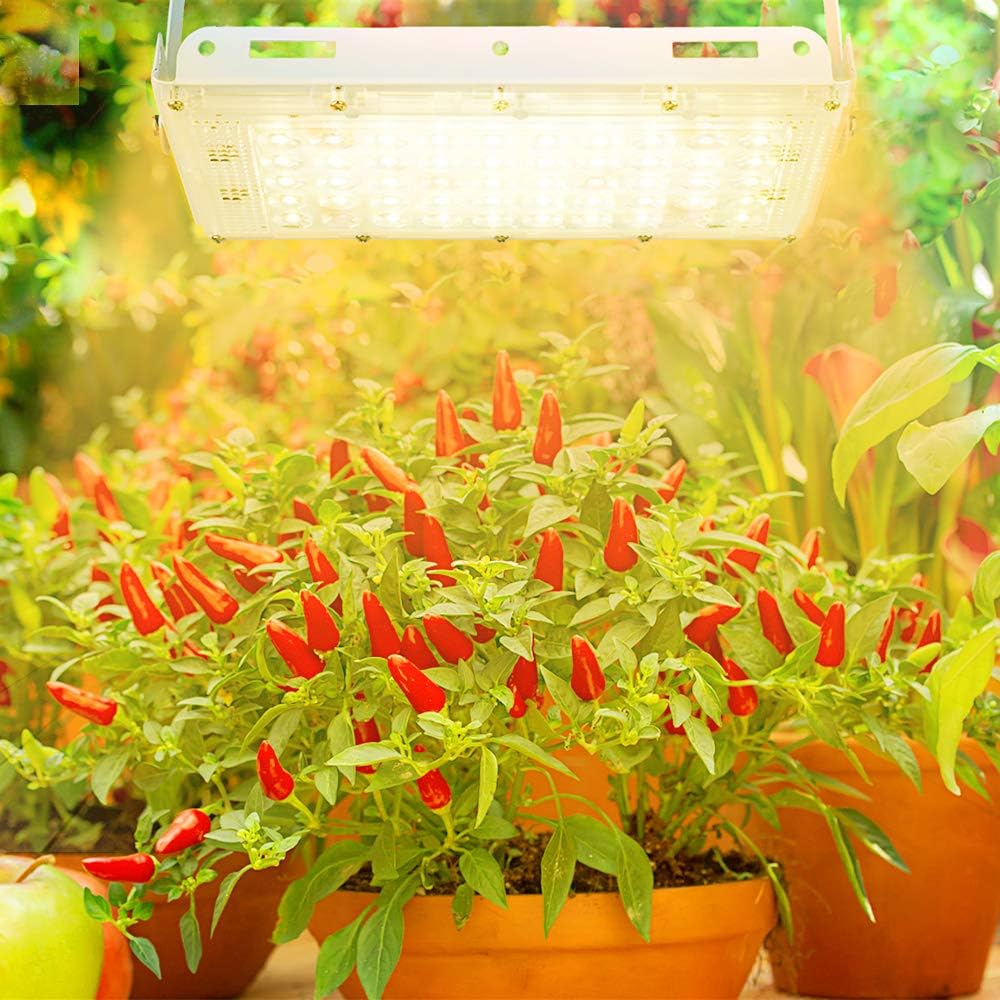 ROLEADRO LED Grow Lights, Full Spectrum Panel Grow Lamp with LM301H & 3500K & Red LED Plant Lights for Indoor Plants,Micro Greens,Clones,Succulents,Seedlings : Patio, Lawn & Garden