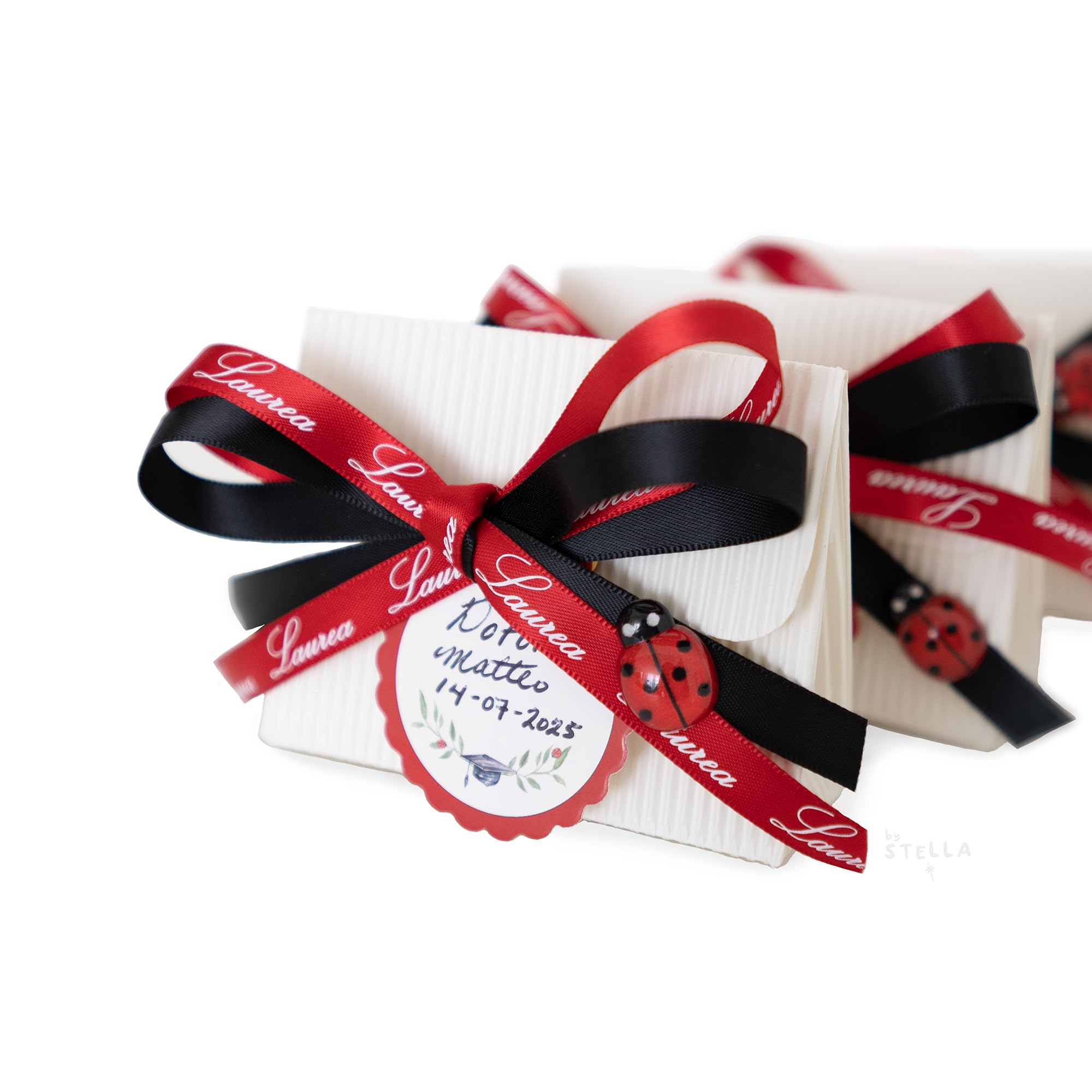 Set Completo Bomboniere Laurea, Scatoline Portaconfetti con Coccinelle, Bigliettini, Doppi Nastri e Sacchettini, 25 Pezzi