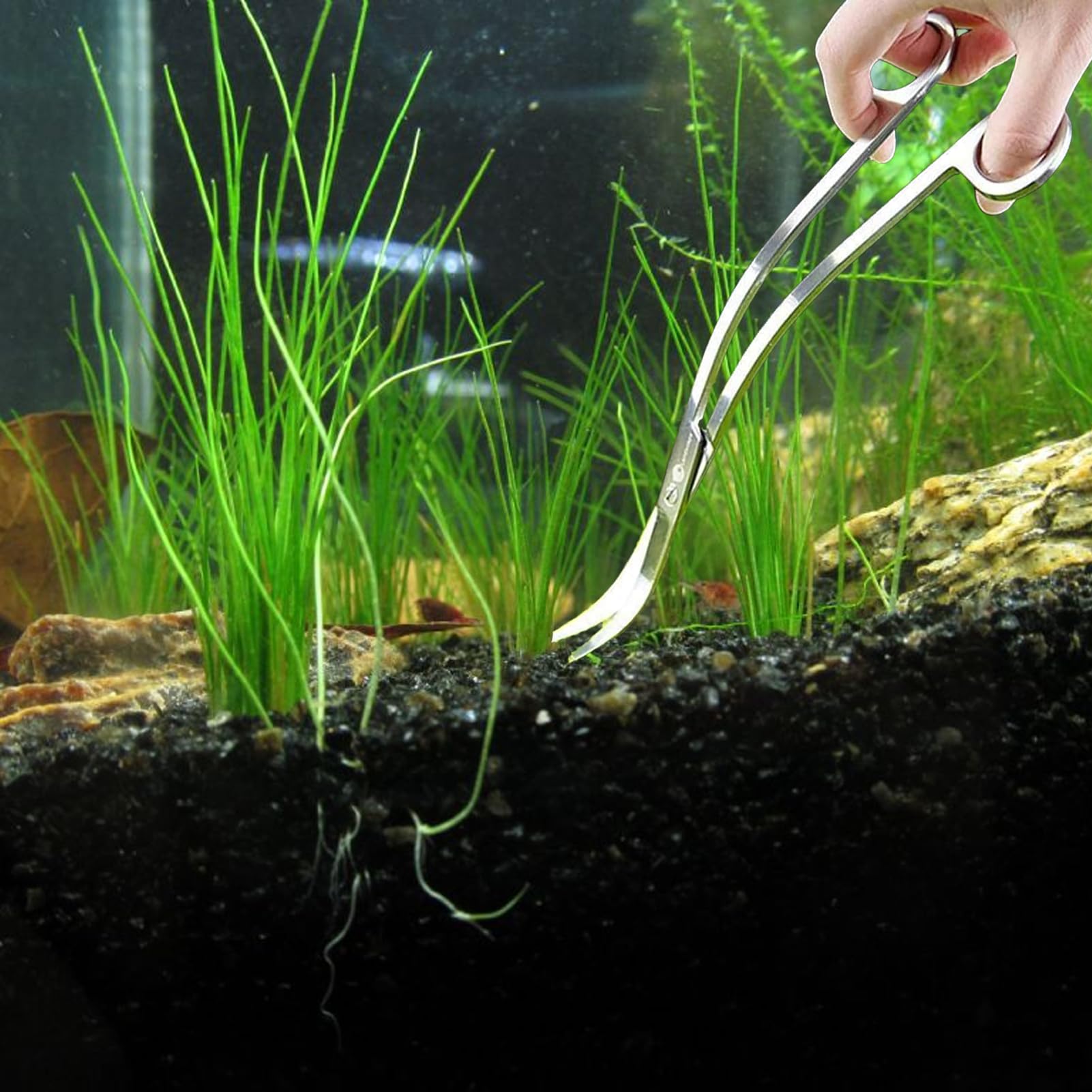 Forbici Da Acquario Curve In Acciaio Inossidabile,Forbici per Piante D'Acquario 25 Cm,Aquascaping,Strumento Acquario,Forbici Per Onde,Forbici Da Acquario Curve,Set Di Aquascaping