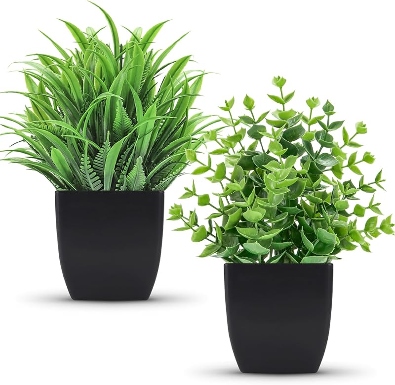 Der Rose 2 Pcs Fake Plants Small Artificial Plants for Black Bathroom Decor | Modern black pots for home office desk shelf coffee tables and kitchen decor, no watering, stays neat all year