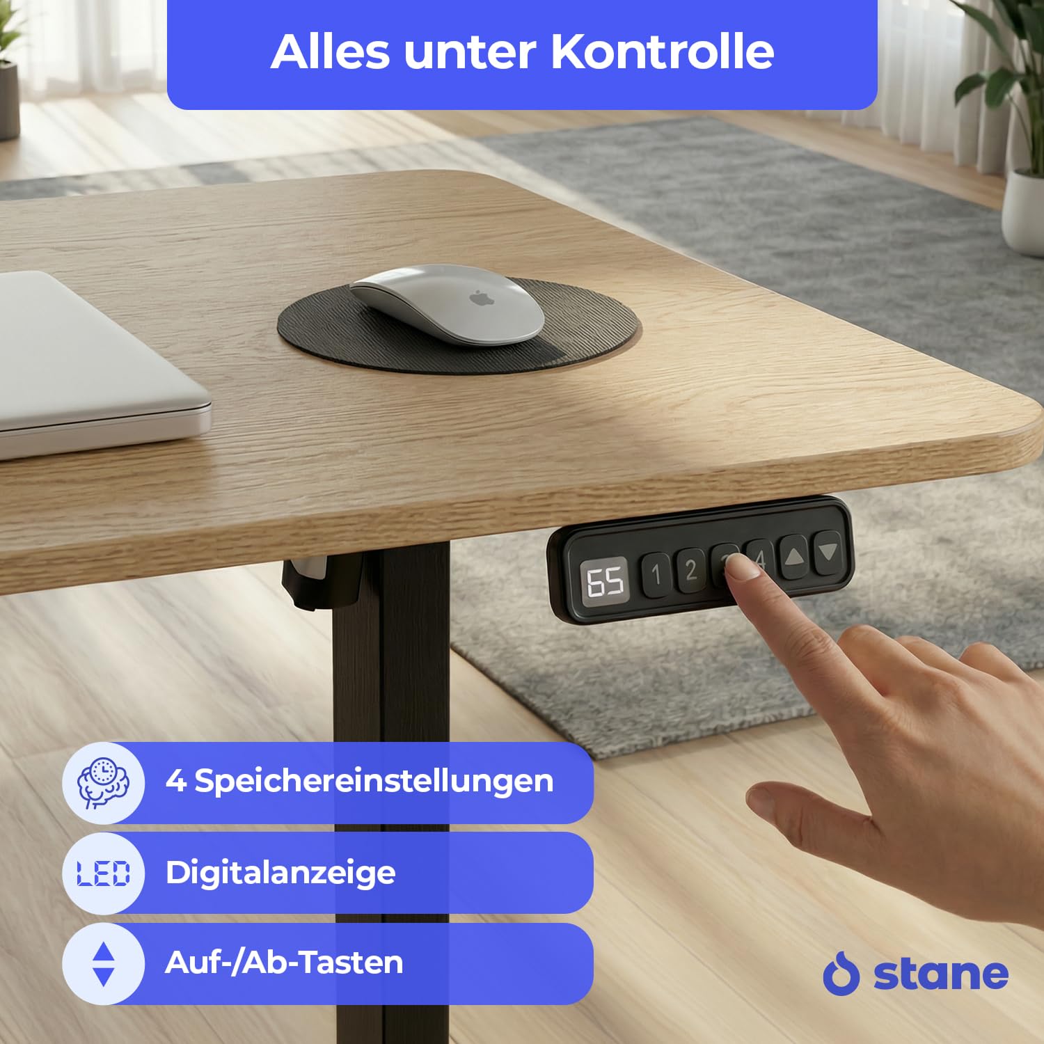 Stane Höhenverstellbarer Schreibtisch 160x80 – Elektrischer Bürotisch als Stehpult [4 Positionen] – Computertisch ideal für Homeoffice und Büro [Kabelkanal] – Eiche Schwarzes