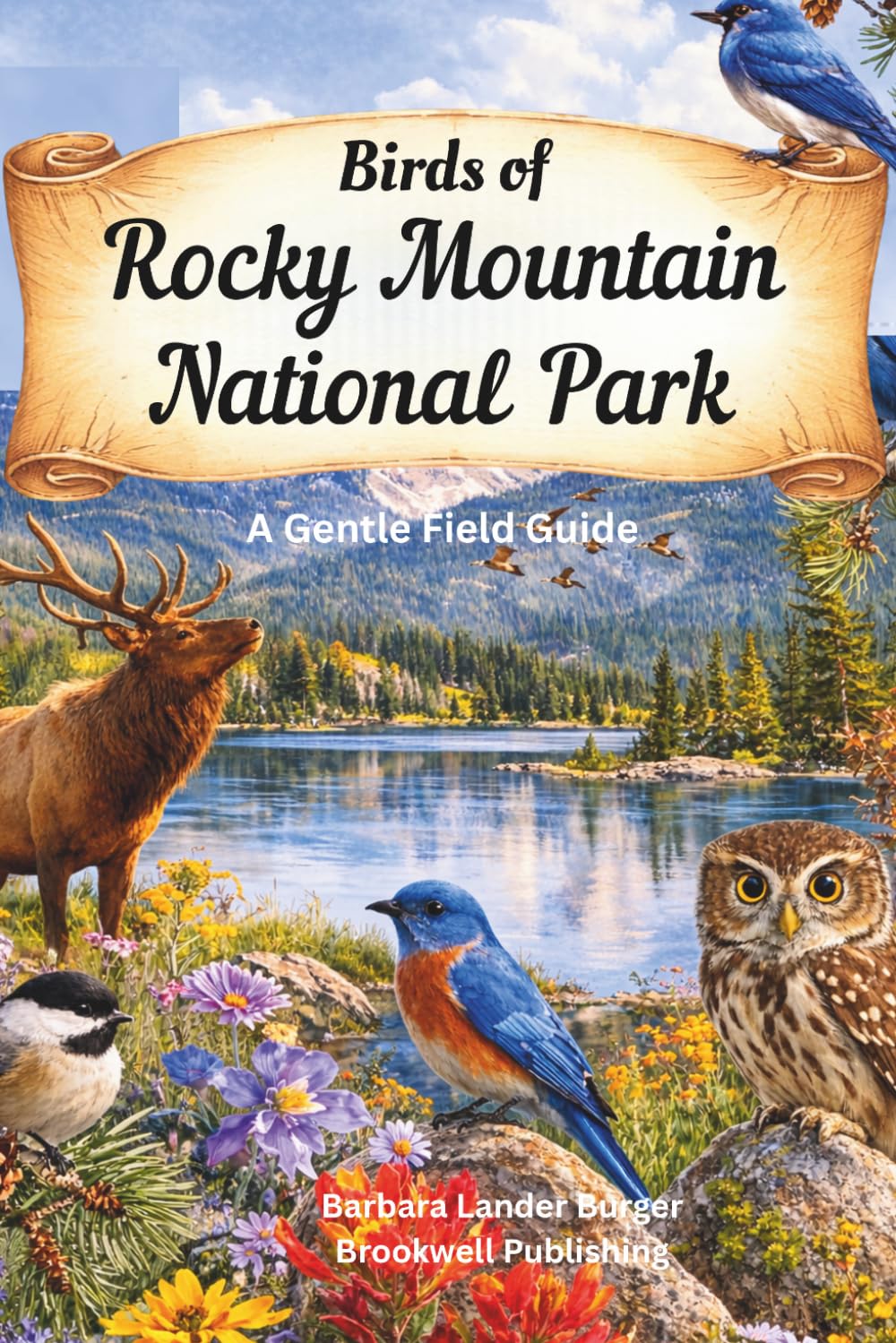 Birds of Rocky Mountain National Park