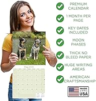 Vista 950 de Razas de Perros 2017