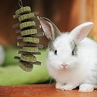 Vista 7 de kathson Juguetes masticables para conejos, dientes de conejo, palo de madera de manzana 100 % natural orgánico, mejora la salud de los roedores
