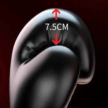 Set of 2 Boxing Training Gloves Sparring Muay Thai Workout Fight Punching Bag Mitts 10oz_Black 10oz