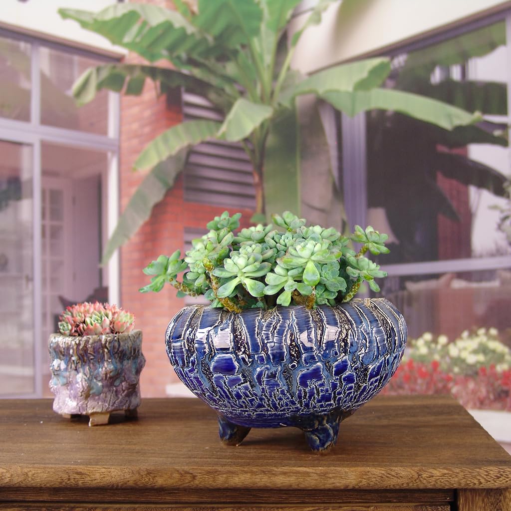 Summer Impressions 6 Inch Natural Cracking Round Ceramic Succulent Planter Pot Large Plant Pot with Drainge and Clear Saucer Cactus Clay Pot (Blue)
