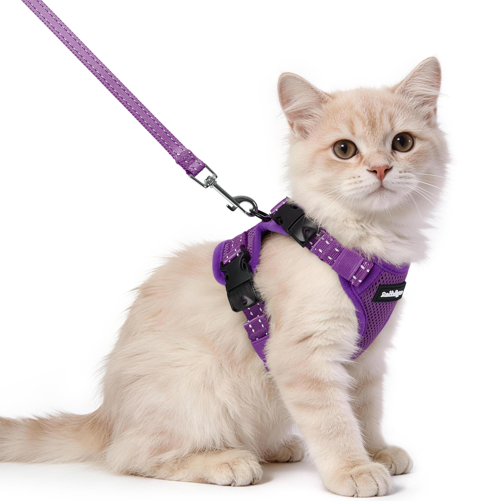 rabbitgoo Cat Harness and Lead Set, Escape Proof Kitten Harness with 3 Adjustable Buckles, Soft Comfortable Cat Vest with Leash, Easy to Wear, Reflective for Safe Outdoor Walking, XS, Purple