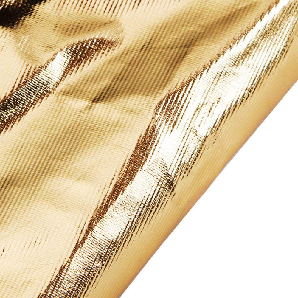 Andoer Disco Riflettente Fotografia Pannello Foto Pieghevole 24" 60Cm 5 In 1 (Oro Argento Bianco Nero Trasparente) Multi Portatile Pieghevole Fotografia Studio Foto Luce Riflettore Disco