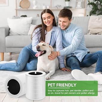 2 Pack H13 HEPA Filter Compatible with Levoit Core 600S Core600S-RF