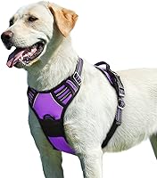 Vista 24 de Eagloo Arnés para perro pequeño, sin tirones, chaleco de servicio con tiras reflectantes y asa de control, ajustable y cómodo para caminar, arnés
