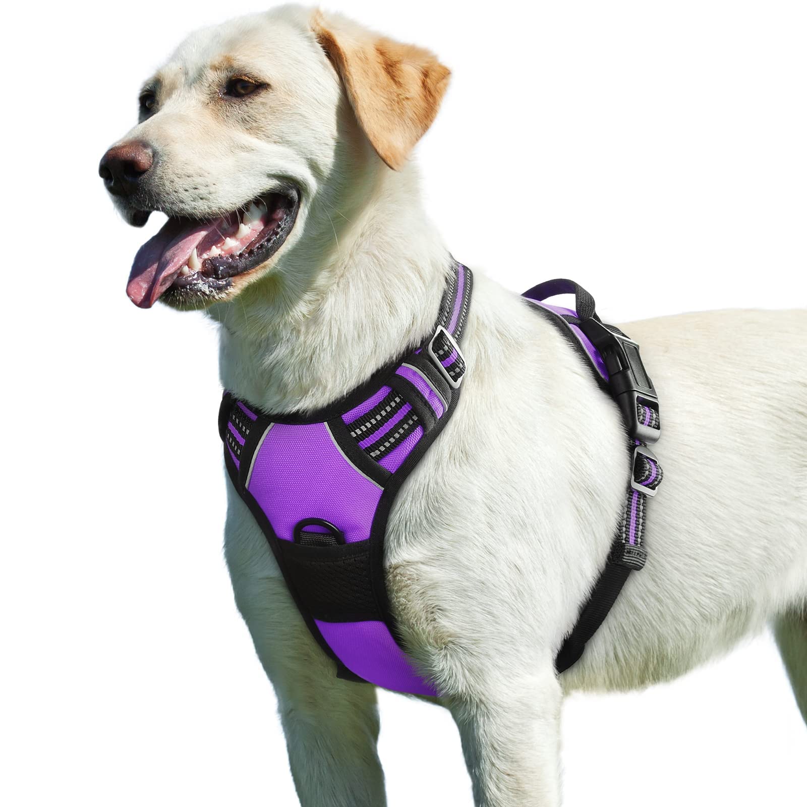Eagloo Pettorina Cane Taglia Grande, Pettorina ad h Antifuga, Imbracatura per Cani Anti Tiro con Doppio Gancio, Imbracatura Robusto e Regolabile per Addestramento Passeggiate, L, Viola