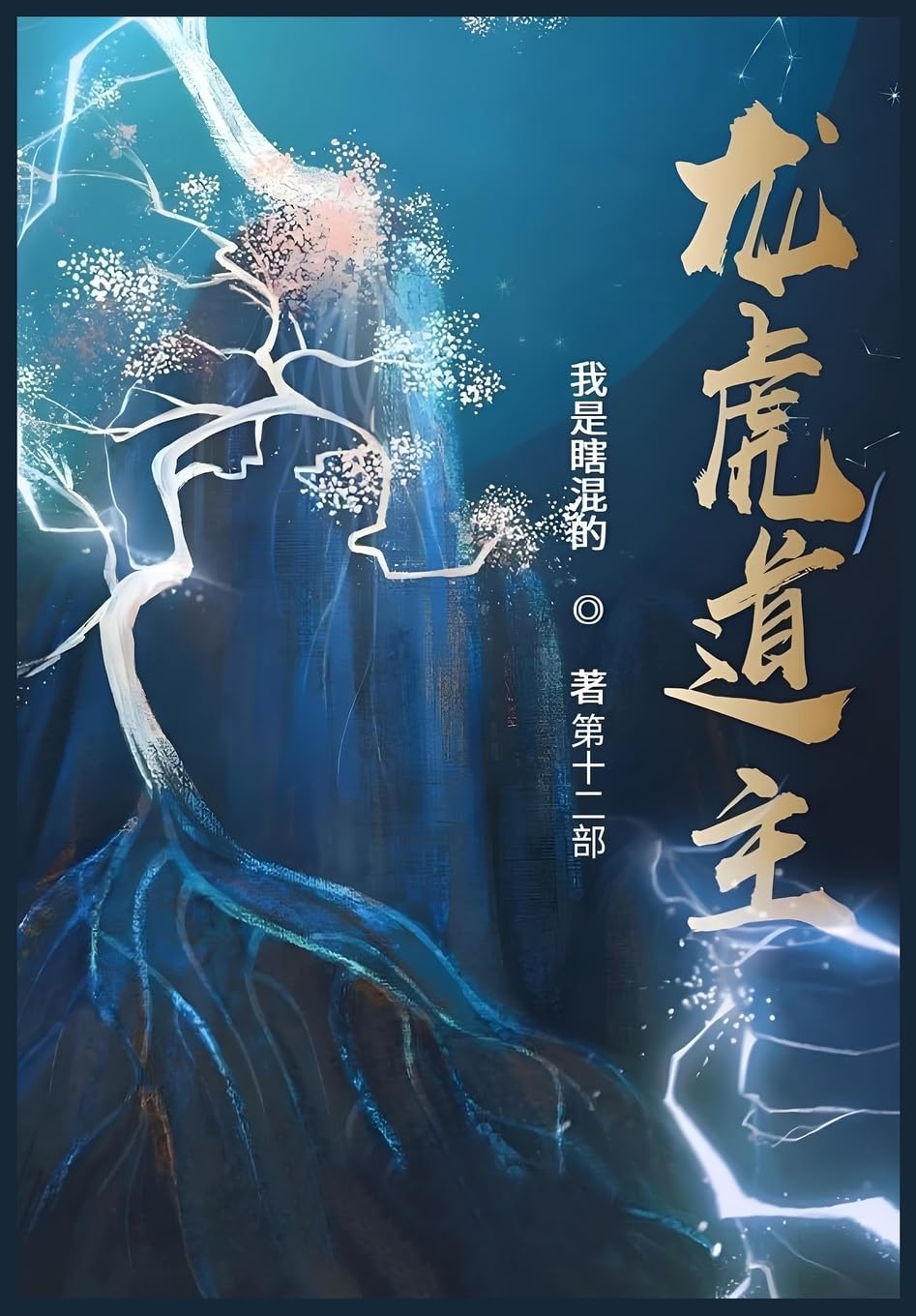龙虎道主:第十二部