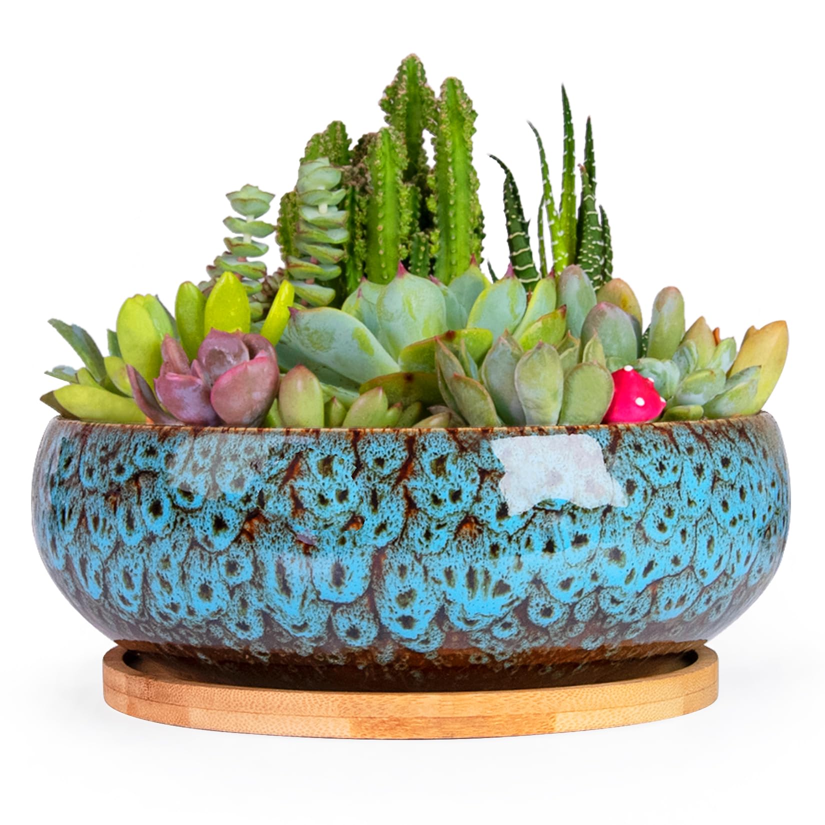 ARTKETTY Glazed Succulent Bowl