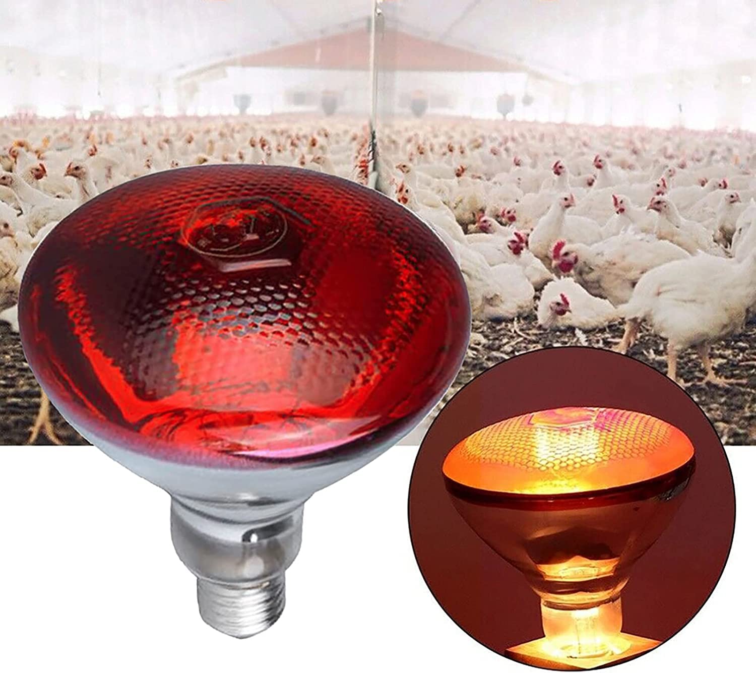 Azonee 1 Pack Heat Lamp Red Infrared Bulbs PAR38/100 Watts Glass Lamp Bulb for Food Service, Brooder Bulb, Chicks, Pet, Bathroom, Light Therapy Use E26 Base, Flood Light Heat Lamp Bulb